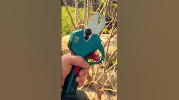 Super sharp modern tool for cutting branches #shorts