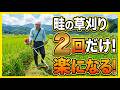 もう無駄に刈らない！カメムシを増やさない「2回だけ」の超効率的な草刈り術
