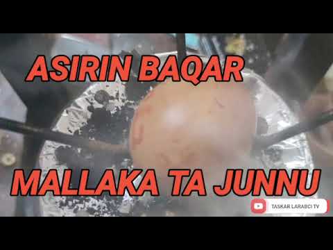 ASIRIN BAQAR MALLAKA TA JUNNU MUJARRABI CE