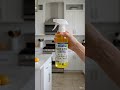 Natural Rodent Repellent That Actually Works! 🐭 Mighty Mint Peppermint Oil Review