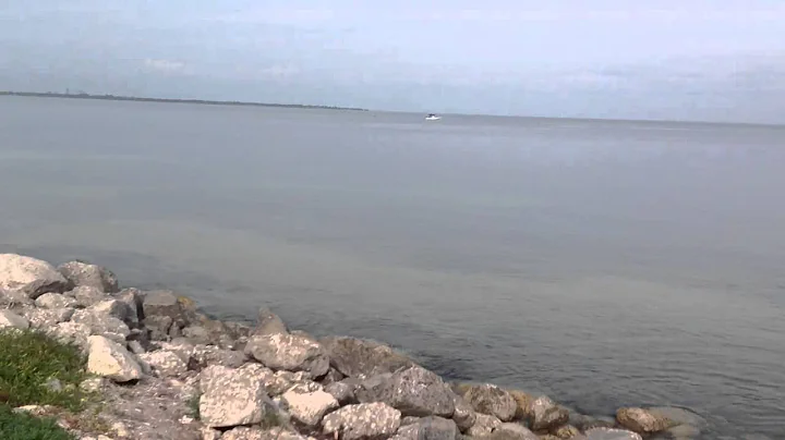 Jumping Fish in Tampa Bay