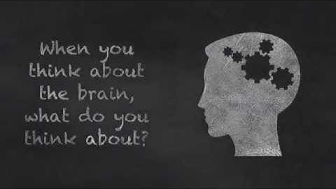 Reverse Engineering the Brain