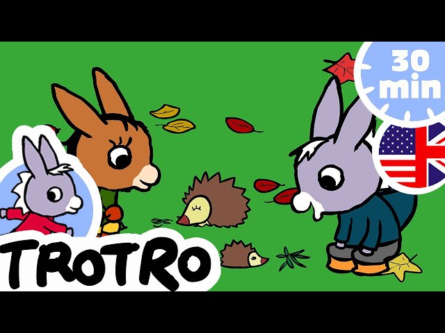 Trotro The Donkey, Teletoon Wiki