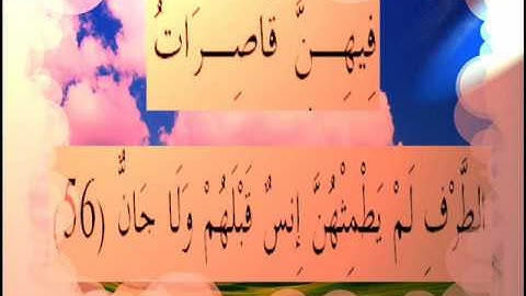 القران الكريم سورة الرحمان الأية  56.wmv