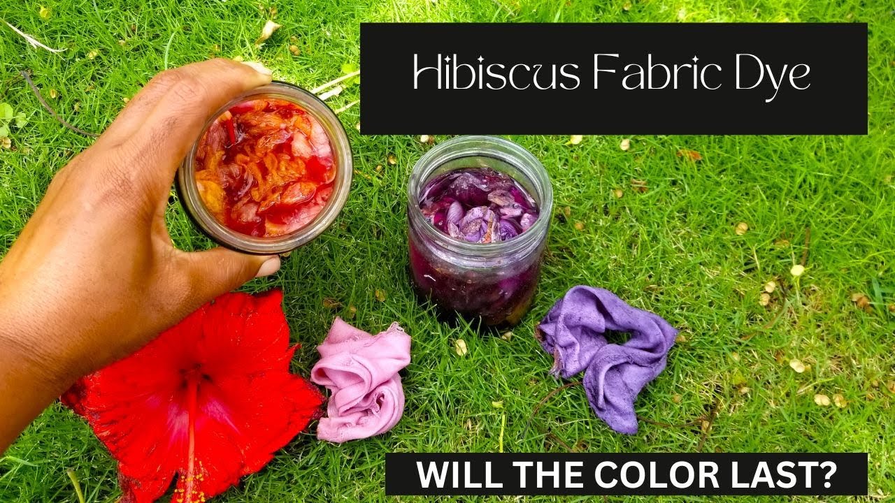 How to Dye Fabric With Hibiscus Flowers and Maintain Color YouTube