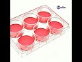 Key Considerations for Using Poly-Lysine (PLL/PDL)-Coated Plates