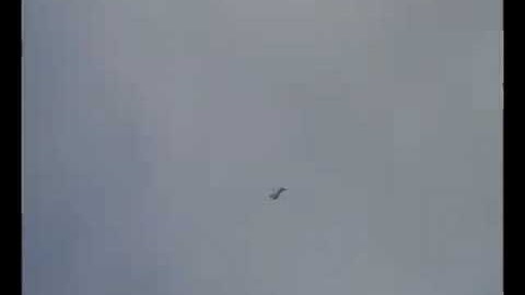 F-16 Scratch Built Prototype - Model 1 Flight 1