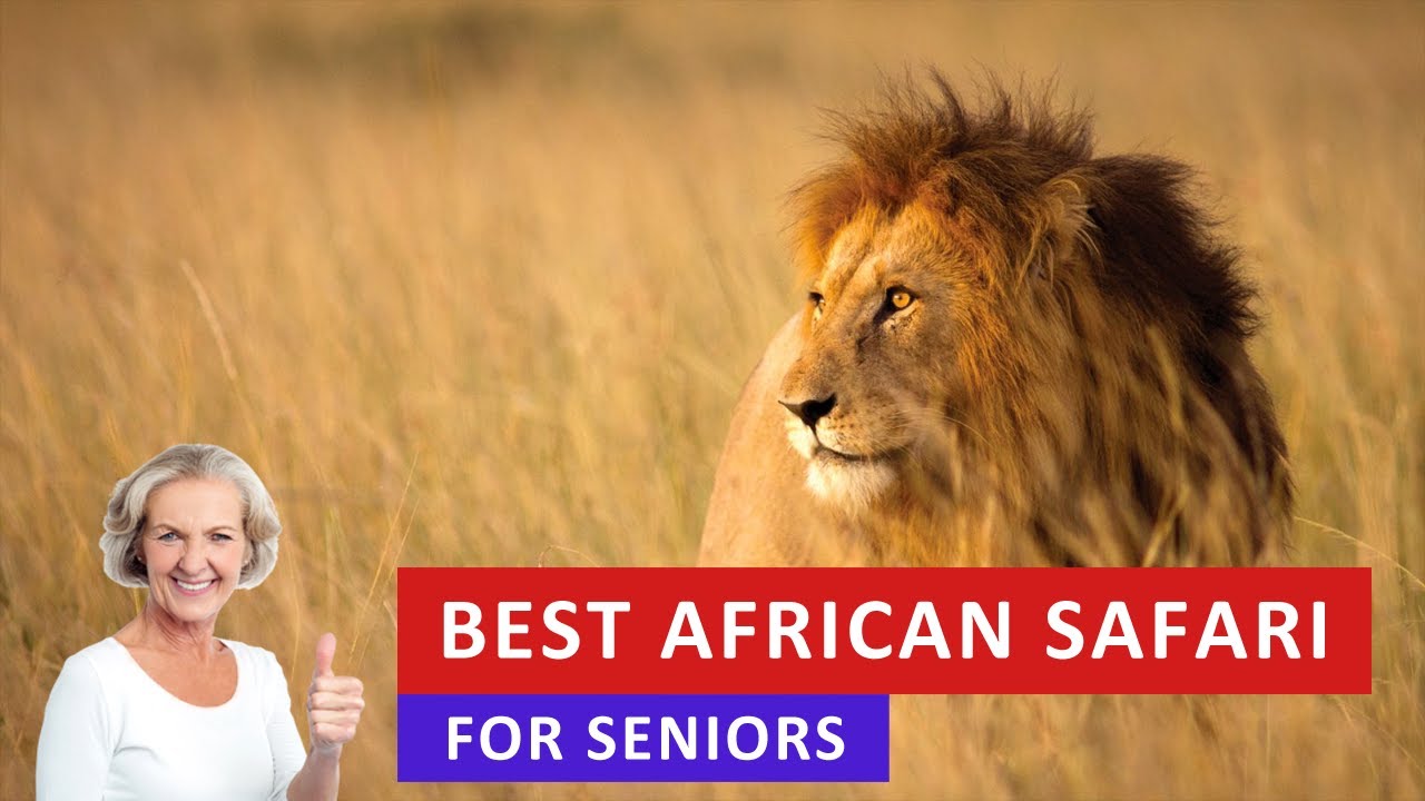 africa safaris 2024