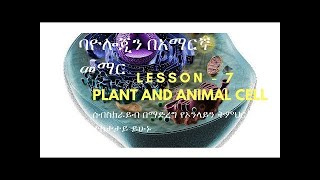 Plant Cell and Animal Cell