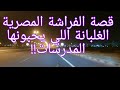 97 قصة الفراشة المصرية الغلبانة اللي يحبوها المدرسات 
