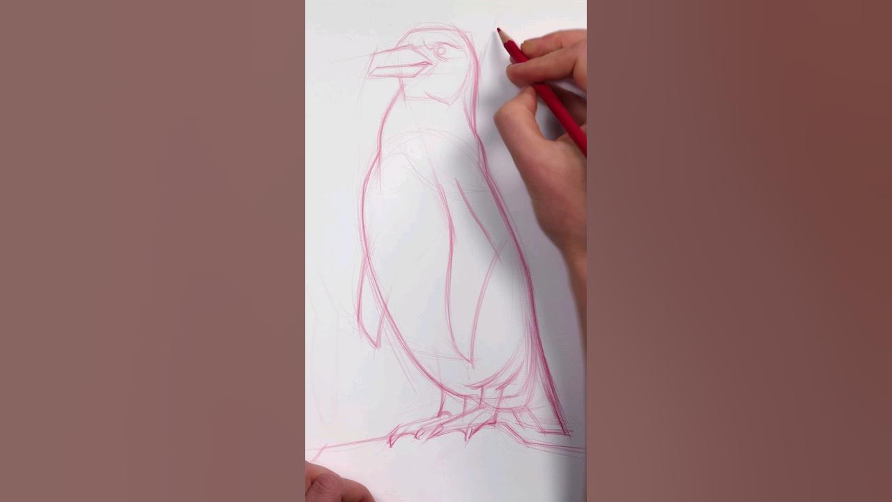 Why Do I Sketch With Red Pencils? #Drawing - Youtube