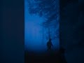 feeling understood without words #darkforest #darkambient #darknature