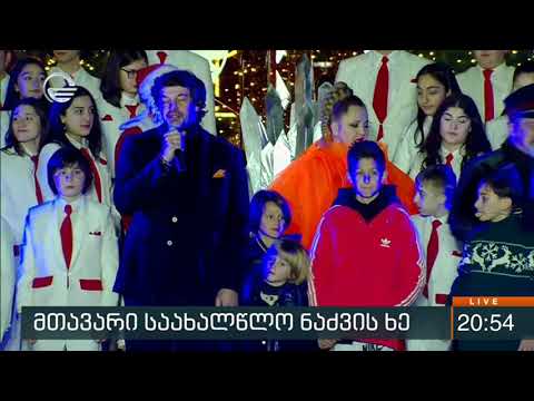 მთავარი საახალწლო ნაძვის ხე თბილისში აინთო