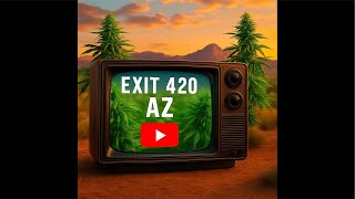 Exit420AZ is live! Smoking on some Brain 🧠 stain 🫟: By Fenix #cannabiscommunity