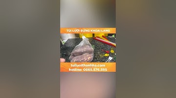 Công ty sản xuất túi lưới đựng khoai lang/  Tuiluoithanhha.com #shorts