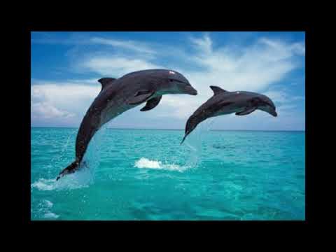 ΠΑΜΕ ΕΥΒΟΙΑ ΚΥΚΛΑΔΕΣ-ΑΝΝΑ
