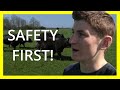 Walking Through Cows - 3 Helpful Tips