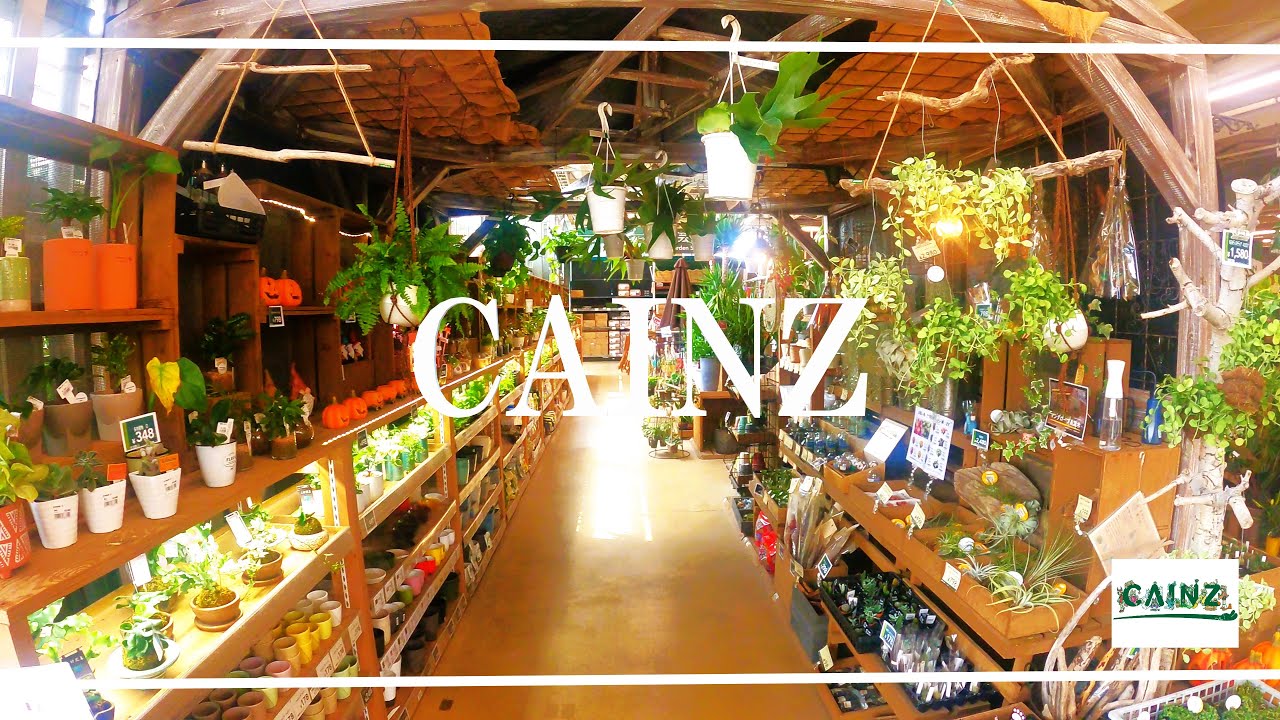 カインズ 大宮 店