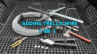 Viticulture -Trellis Wire Installation in a Hobby Vineyard