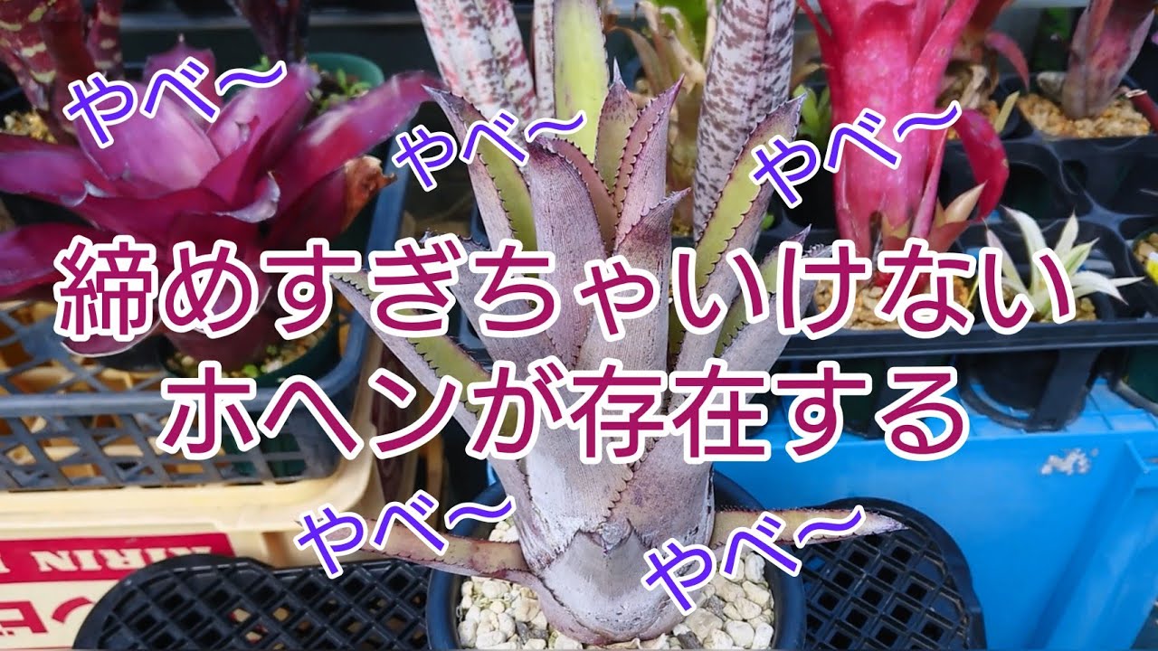 締めすぎ注意！ - YouTube
