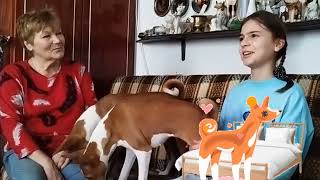 Wszystko o Basenji! Pies który nie szczeka? Przyjmuje zapach otoczenia? //Ala Show #dog #basenji