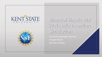 Bimodal Haptic-MR IV Needle Insertion Simulation Project Training