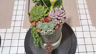 Succulent Arrangement in Rustic Metal Jug