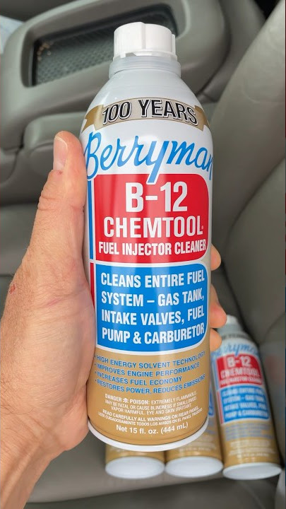 Berryman Fuel Injector Cleaner Treatment, 12-oz.