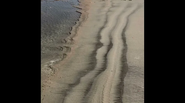 Tide Pools