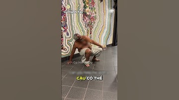 Người vô gia cư này đã làm điều khiến ta không thể chấp nhận được😡