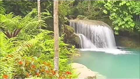 سورة الاعلى عبدالرحمن كمال محمد