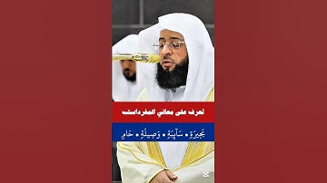 ما جعل الله من بحيرة ولا سائبة || تلاوة خاشعة لفضيلة الشيخ بدر التركي