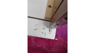 ✋ REVIEW of Donco Boy Bunkbed! Harper&Bright Designs Low Study Twin Loft Bed with Cabinet and Rol..