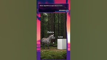 When algorithms sculpt nature