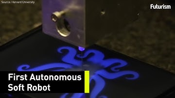 This Soft Bot Could Change The Robotics Industry