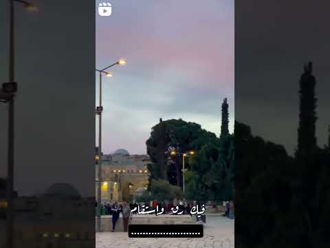 فيك هذا القلب هام حالات واتساب