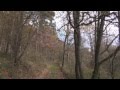Ref:Bh82q3Grdes Le bois de marmont et la r�serve naturelle de romedenne