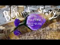 로코베리 '물망초' MV Behind Story(조정석&로코)
