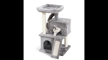 PAWZ Road Cat Tree Luxury Cat Tower with Double Condos