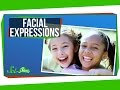 Where Do Our Facial Expressions Come From?