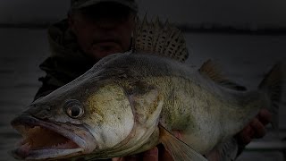 Ночная ловля судака на джиг. Night fishing for walleye jig