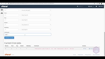 Foodomaa Cron Job Setup for Scheduling Stores