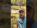 North Alabama Grassland with SGI #grasslans #grasslands #conservation #alabama
