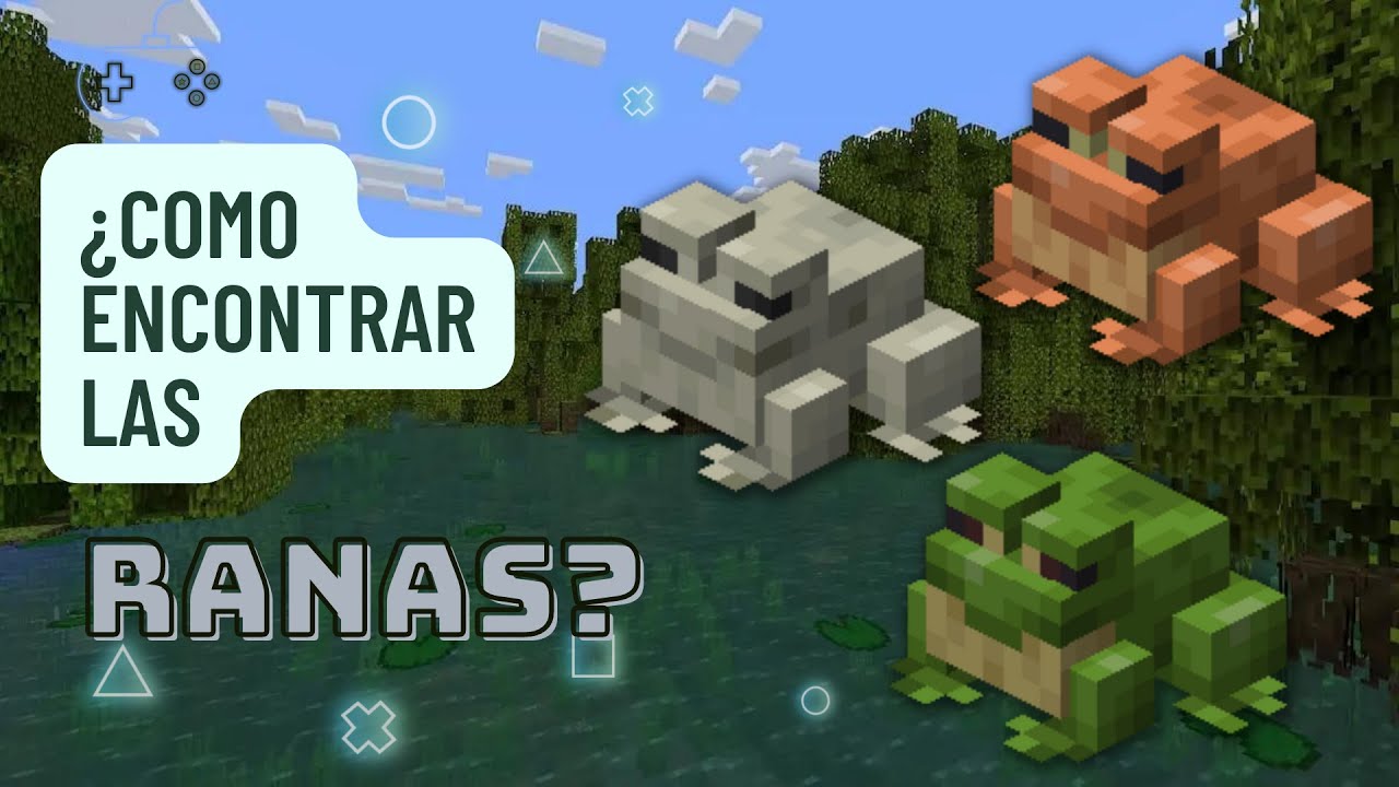 LO ESTAS HACIENDO MAL, La Mejor manera de encontrar a todas las ranas ...