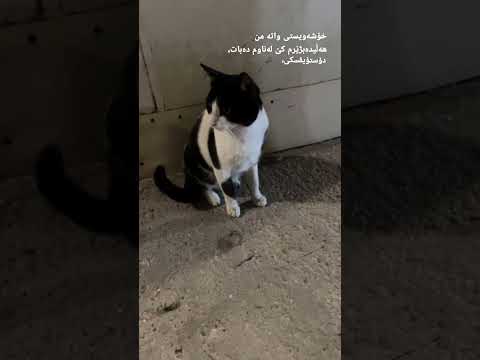 لەپێناو هەبوونی هەستێکی کاتی، بڕۆ بۆ هەمیشە خۆت لەناو ببە..