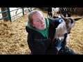 Taking care of new baby goats and their mom and a first for the farm! Vlog #8
