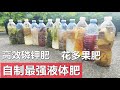 自制最强有机液体肥, 高磷钾肥, 花多果肥, 省下买肥钱 Homemade liquid fertilizers