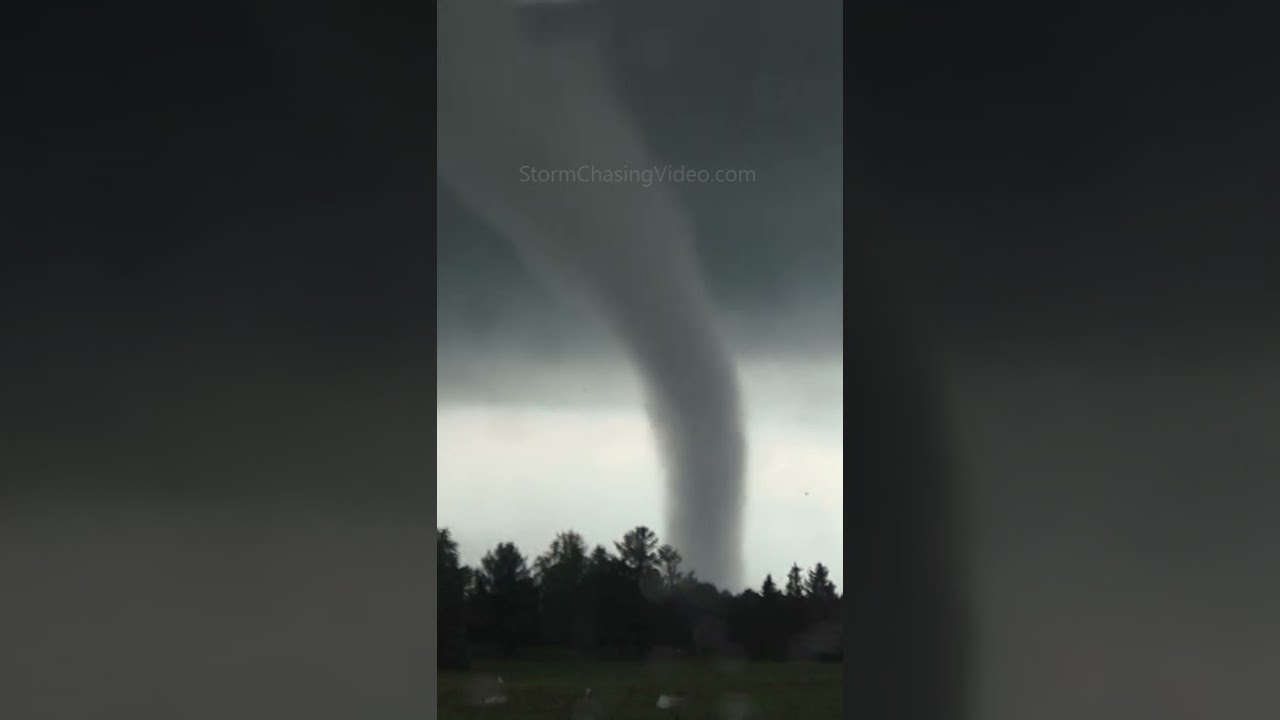 A Perfect Cone Tornado Spins Behind the Trees #shorts