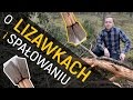 o Lizawkach i spałowaniu! - o Lesie #13