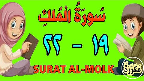 سورة الملك | من الأية (١٩) إلى الأية (٢٢) | كل أية مكررة ثلاث مرات | قناة الشيخ محمود العقيد